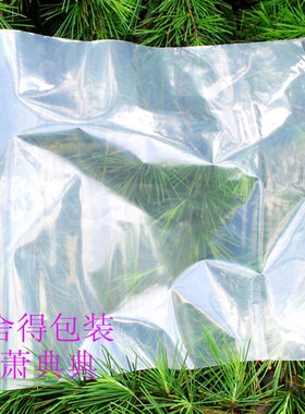 自粘袋 pe不干胶自粘袋 服装包装袋 塑料袋 pe袋8丝35x60cm 100个