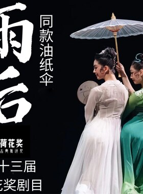 雨后舞蹈伞古典舞女子双人舞蹈专用伞纯白油纸伞具U古风表演道具