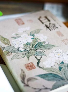 全白纸裸装手帐本空白内页笔记本植物主题L记事本旅行盖章本礼品