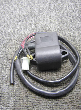 摩托JOG90风帆90印王90西湖90钱江ZIP50 改装一体化高压包点火器