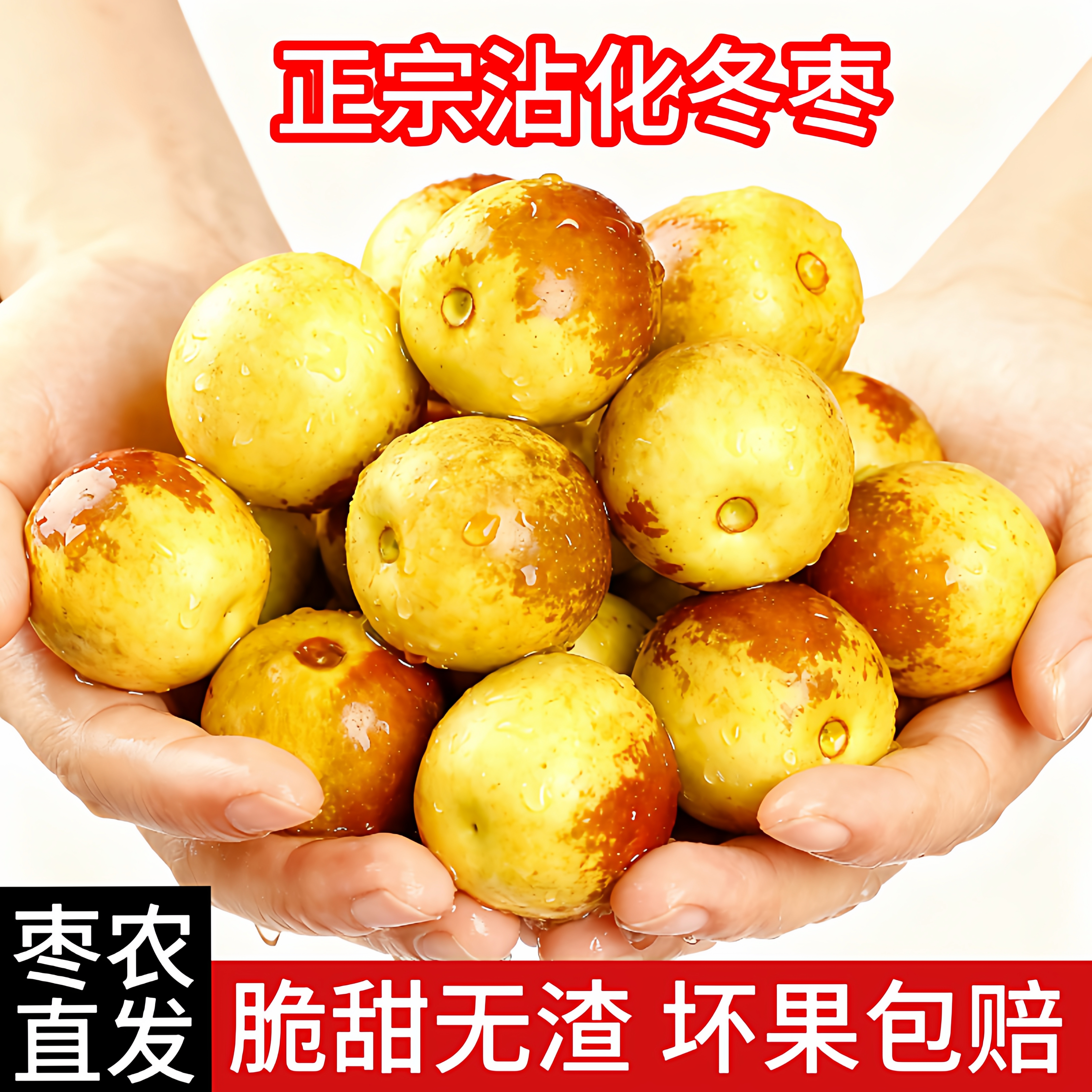正宗沾化冬枣 自家种植 5斤装 山东特产冬枣现货甜脆多汁新鲜水果