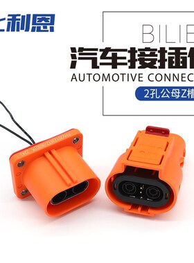 FHV201236TZ-06S01K 2孔新能源电动汽车高压连接器Z槽位防水插头
