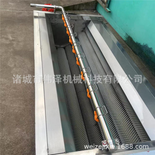 土豆去芽清洗机 扇贝去泥机 连续式平行毛辊清洗设备诸城伟泽厂家
