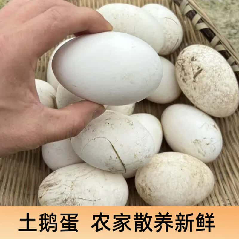 四川广安新鲜土鹅蛋农村散养鹅蛋