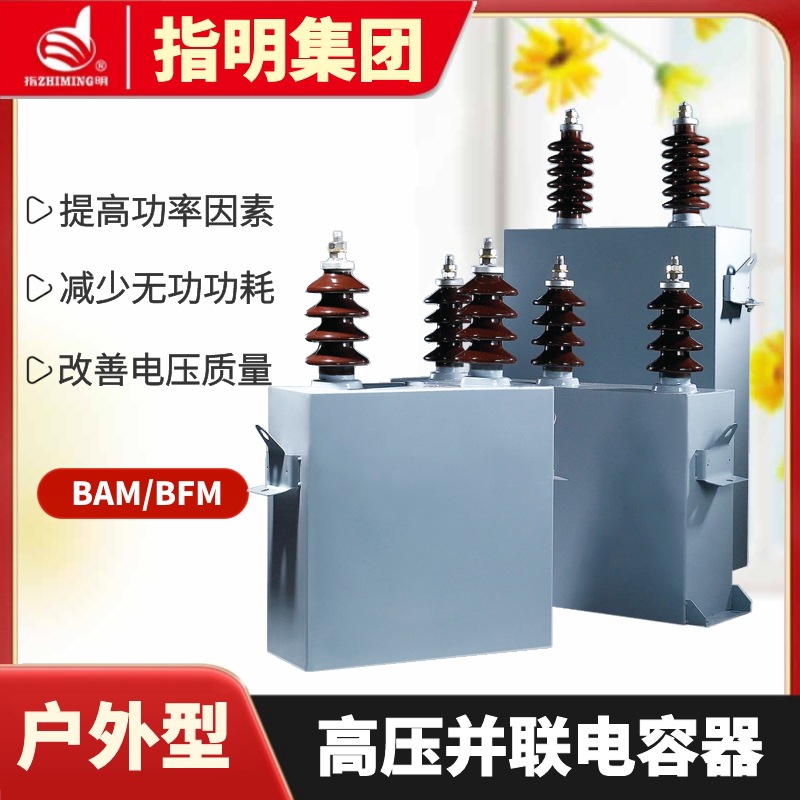 指明集团 单相高压电力电容器 BFM6.3-100-1W 高压并联电容器