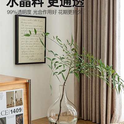 玻璃花瓶摆件客厅插花感大y肚透明水养落地绿植轻奢水培植物