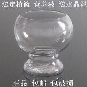 水培简约透明玻璃花瓶绿萝铜钱草创意欧式鱼缸家居饰品花盆包邮