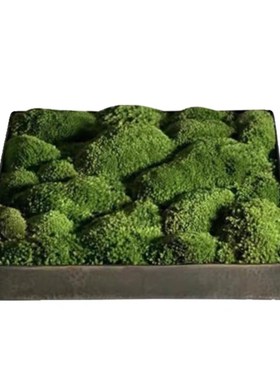 现代样板间客厅茶几装饰品售楼中心大堂桌面苔藓花器马毛托盘摆件