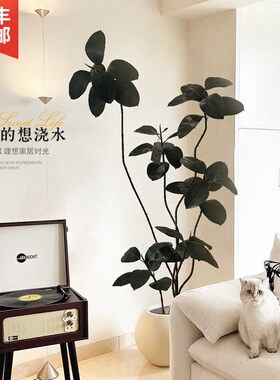 黑金刚橡皮树客厅大盆栽造型室内大型仿真M绿植假花办公室阳台植