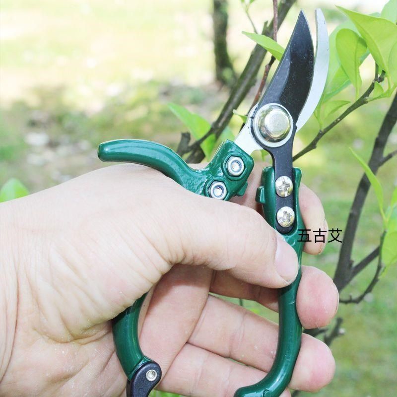 修枝剪子葡萄摘果剪园林果树剪刀粗枝花剪省力树枝修花园艺剪刀