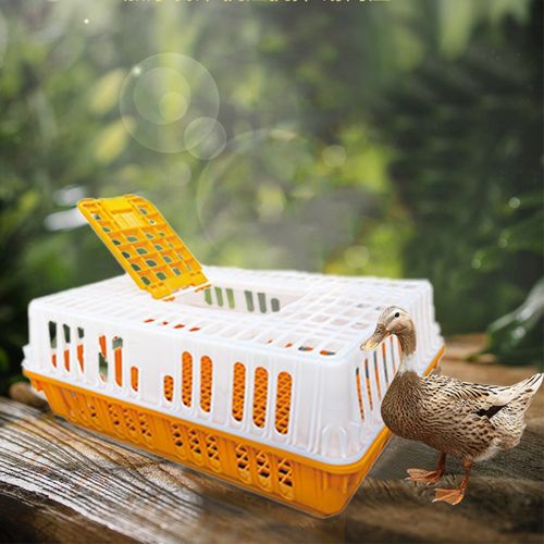 鸡用周转箱养殖场家用塑料运输笼鸡筐成鸡鸭鹅鸽子兔养殖笼塑料筐