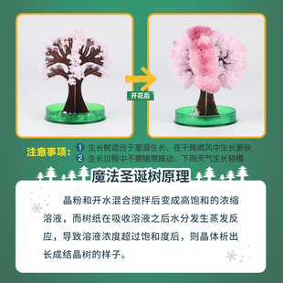 儿童纸树开花魔法圣诞树水晶种植浇水开花科学实验套装节玩具礼物