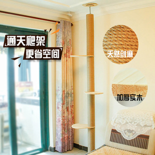 猫爬架通天柱猫跳台n顶天立地猫抓柱猫窝树新型一体实不占地太空