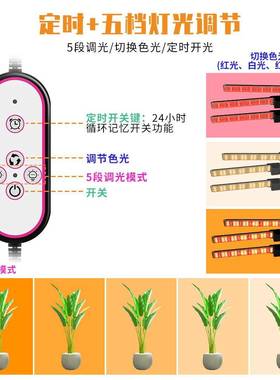 植物灯室内植物生长棚补光灯led地OHG折叠三脚种架大蔬落菜植灯育