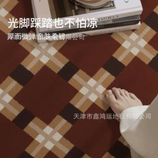 中古风客复厅毯AL688290茶超柔加密经典古沙发几地毯免打地理卧室