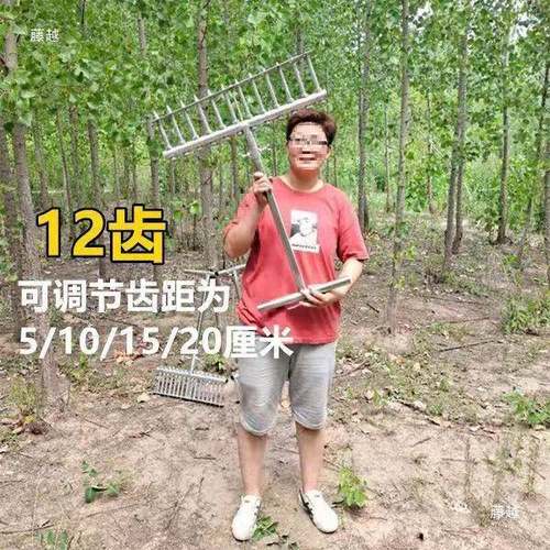 种葱葱器栽器大葱叉子自动苗打FKR孔工栽具洋葱种菜移栽机移苗器