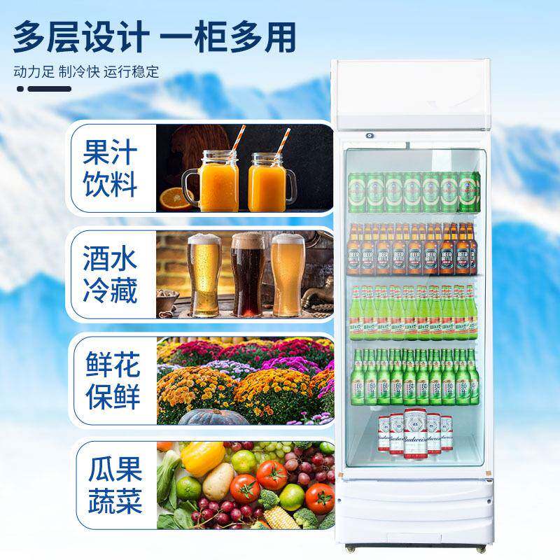酒柜冷展示藏立式啤商用721冰箱单门保鲜柜饭店超柜市冷柜双门饮