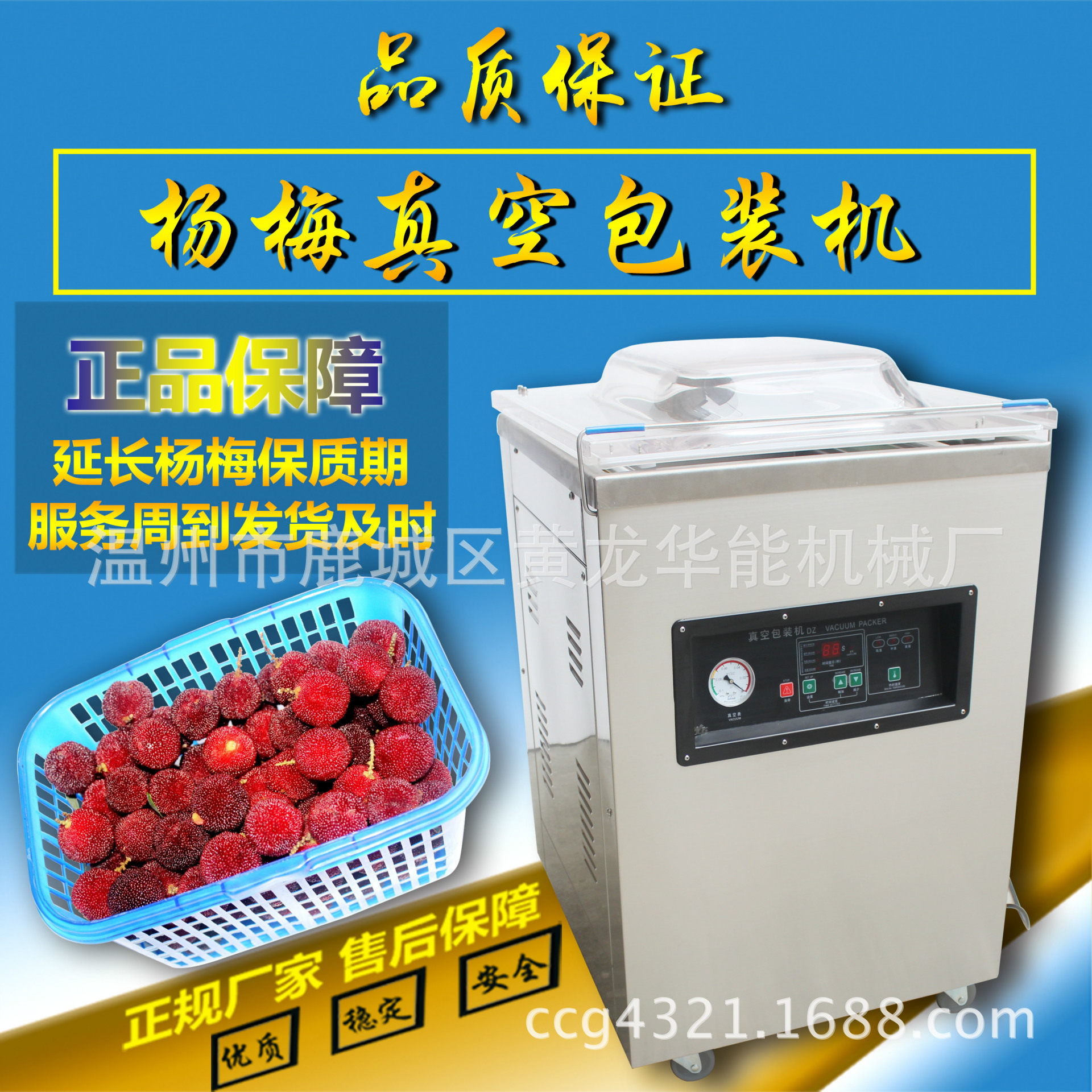 DZ-400充氮气杨梅真空包装机 食品真空包装机 封口包装机厂家直销