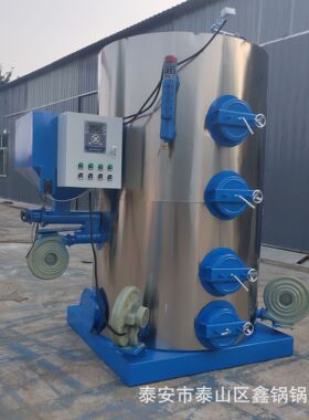 蒸汽发生器导热油炉全自动生物质蒸汽发生器自动运行使用方便