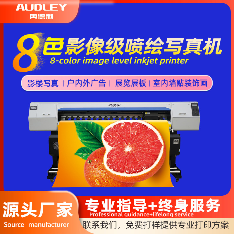 奥德利双头户内户外写真机门店专用机型车贴壁纸打印写真重型机架