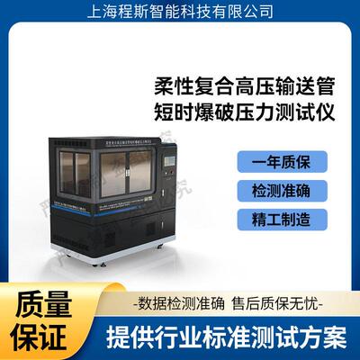 CSI-F896 柔性复合压输送管短时爆破压力测试仪 优质货源