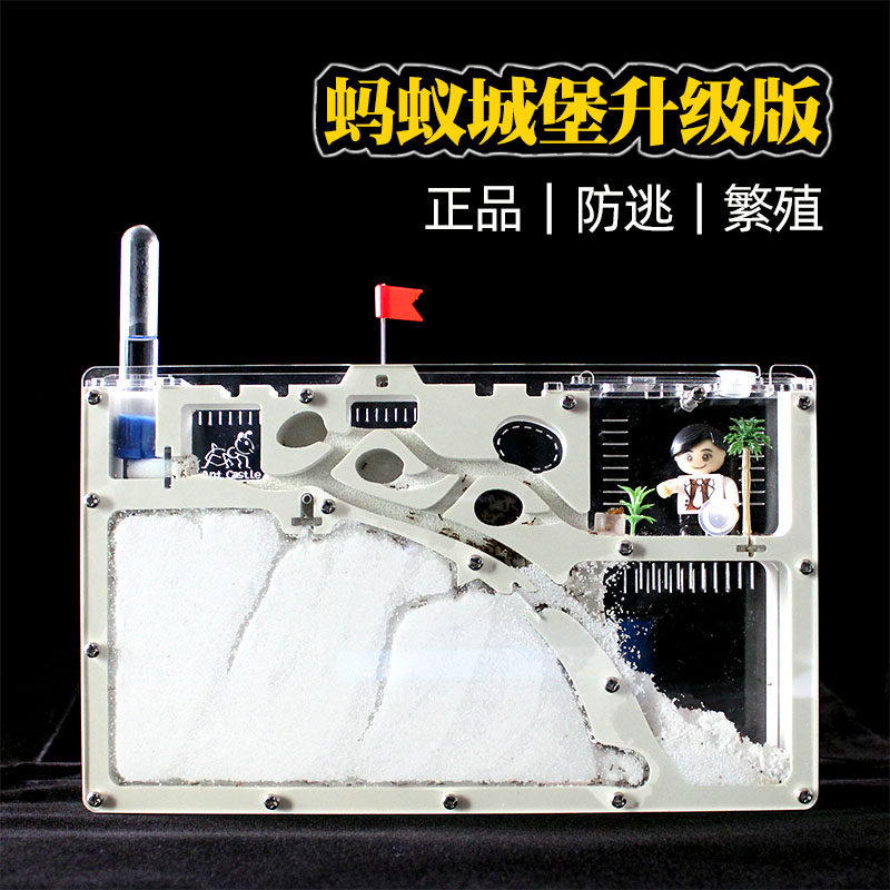 蚂蚁窝 蚂蚁工坊宠物笼子蚂蚁城堡新型养蚂蚁繁殖蚁巢亚克力沙巢