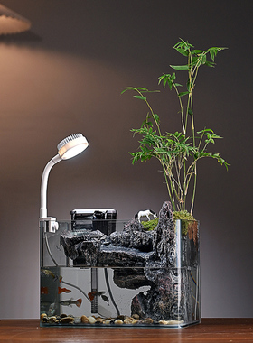 假山流水摆件过滤循环水桌面植物小型鱼缸客厅办公室装饰桌面景观