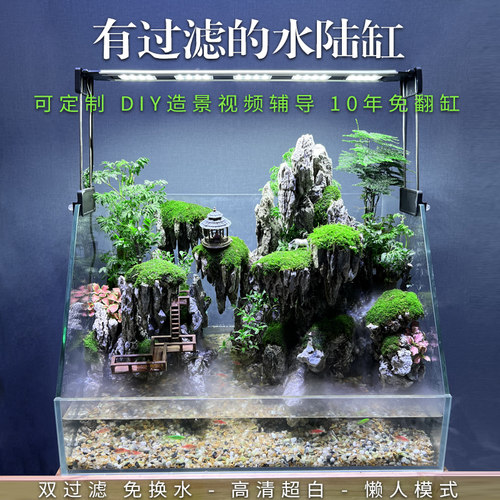 超白水陆缸雨林造景套餐材料生态超白植物水草微景观鱼缸两栖生态