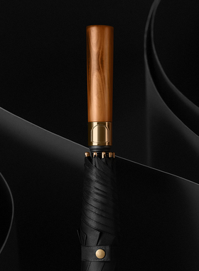 黑色男士雨伞长柄伞自动大号超大双人日系直把伞抗暴风雨防风定制