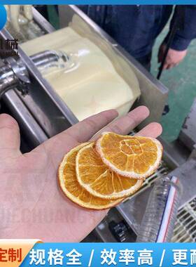 冻干产品巧克力涂层机 酸奶柑橘片裹可可脂的机器 浆液循环使用
