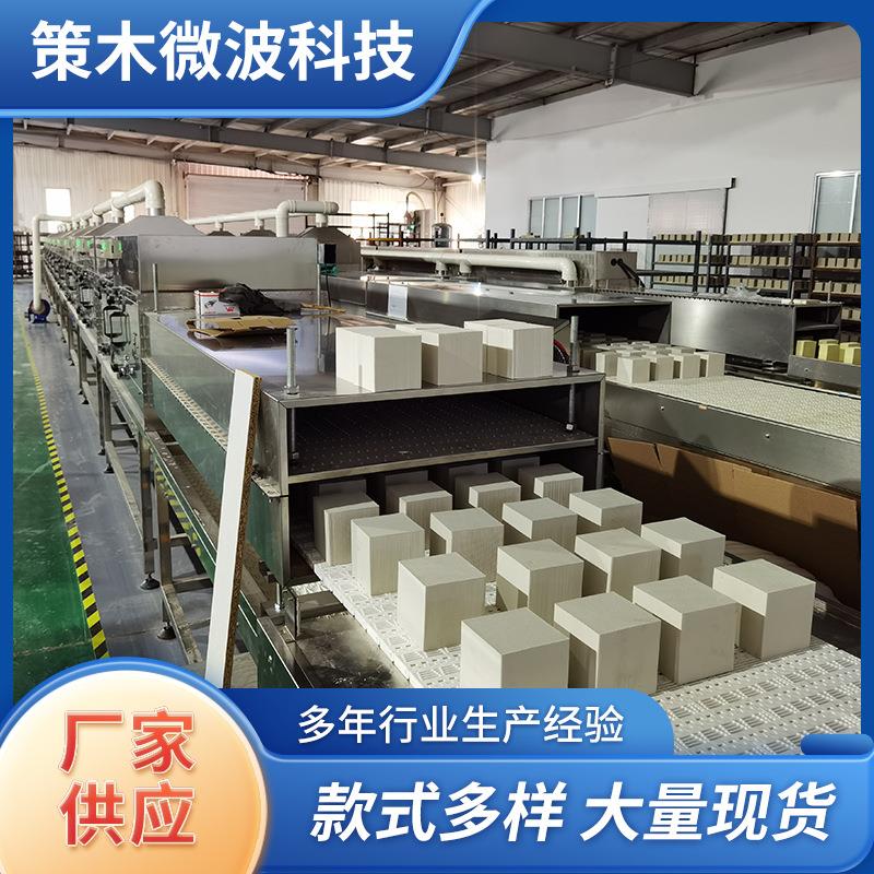 定制活性炭微波干燥设备隧道式活性炭烘干机带式微波真空干燥设备