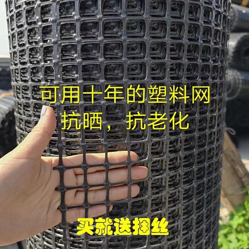 塑料网围栏网养殖护栏网防护网鸡鸭养殖网漏粪网黑胶网圈玉米网格