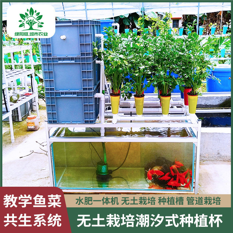 鱼菜共生系统养花种菜无土栽培水耕教学种植系统潮汐种植教学设备