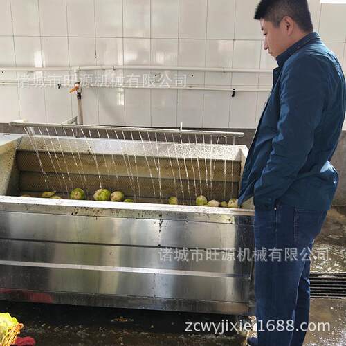 山毛辊清洗机 不锈钢天麻毛辊清清理洗设备 供应商自动清洗