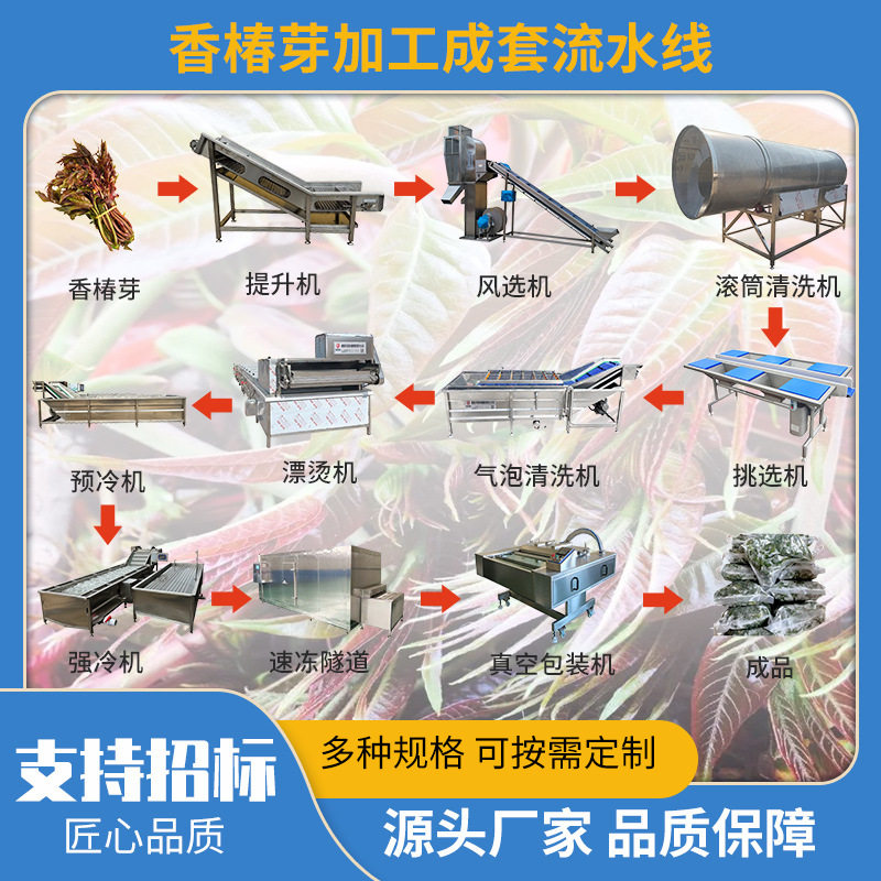 大型黄瓜加工成套生产流水线莴笋叶菜去杂虫清洗杀青漂烫冷却机