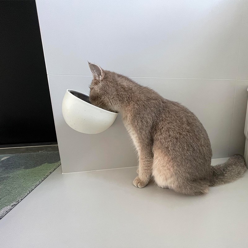 宠物猫碗可上墙悬挂壁式不锈钢猫食盆狗碗防打翻磁吸喝水粮碗用品