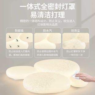 客厅灯2灯D025款 现代极简约客新厅主灯具创意卧室房间86334LE吸顶