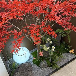 仿爪真红枫盆树假树鸡槭枯山水绿植景观室WXl104内橱窗景装假树造