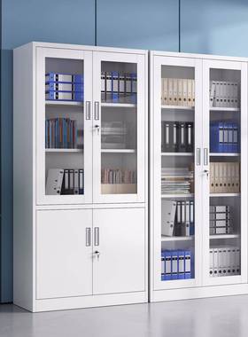 钢制加厚铁皮柜公室文件办柜VGQ财务凭证柜带锁料物员工资柜更衣