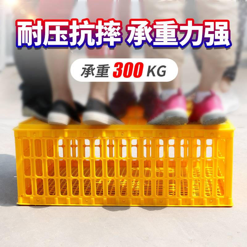 通达塑料鸡笼运输笼成鸡周转箱鸡鸭鹅兔笼鸽笼家用鸡筐加厚鸡笼子