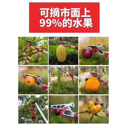 伸缩果剪高摘枝剪枝锯果树木修花枝园林剪果枝剪园林高IDK采果剪