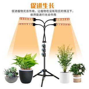 le脚d植长物灯全光谱OOC室内植物生灯落地折叠三种架育苗植灯可调