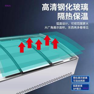 包邮海鲜炸串不阶梯式台式保鲜展示柜摆摊冷藏三层冷冻三轮车冰水