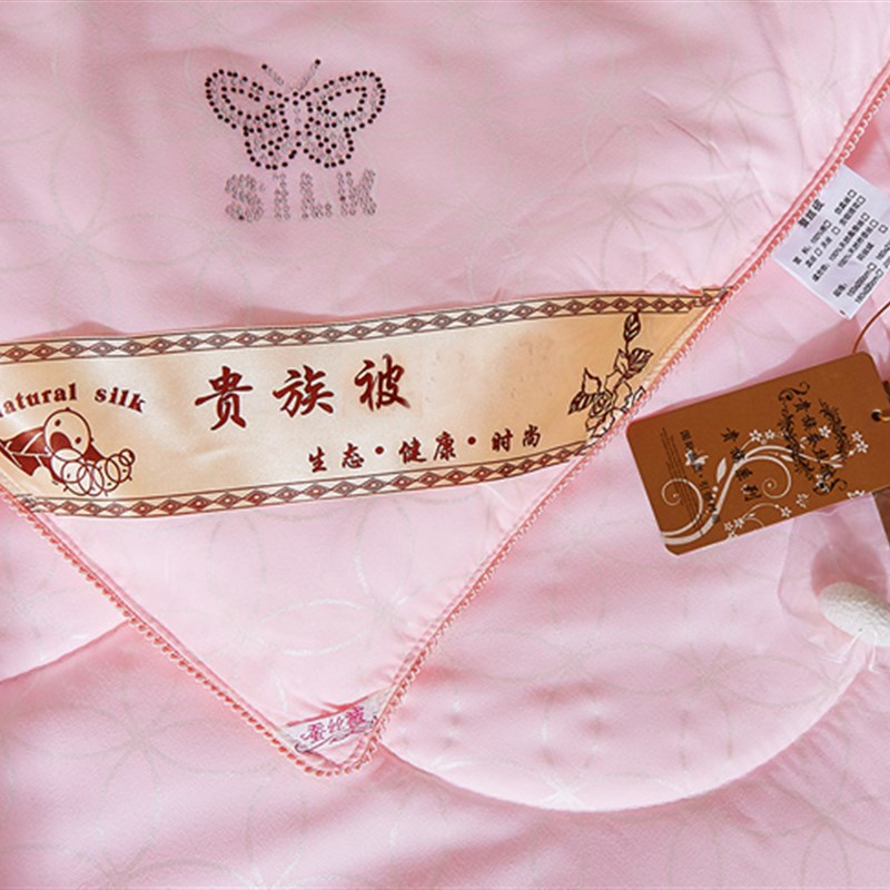 加厚桑丝被子春秋空调被冬天保暖丝棉被芯单人双人全棉秋冬被冬季