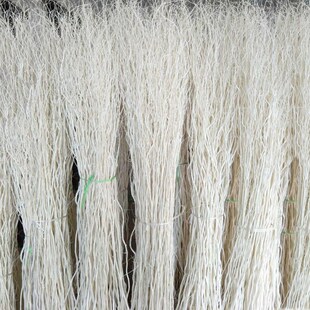 天然龙柳干枝曲柳树枝龙桑玄关隔断橱窗落地装饰白色干花婚庆拱门