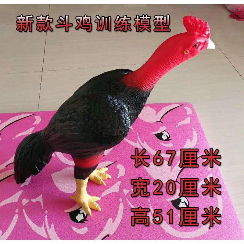 斗鸡 斗鸡用品 斗鸡训练用品 斗鸡模型 斗鸡比赛模型鸡斗鸡 假鸡