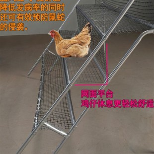 鸡栖息架鸡爬架鸡站架鸡爬梯养殖网架鸡睡觉架子鸡栖架禽类休息架