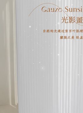网红竖百叶纱帘白纱窗帘雪纺纱卧室飘窗透光不透人白色Z窗纱梦幻