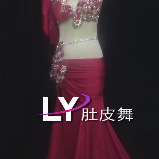肚皮舞套装 肚皮舞演出服表演服套装服装高档裙套装大码肚皮舞
