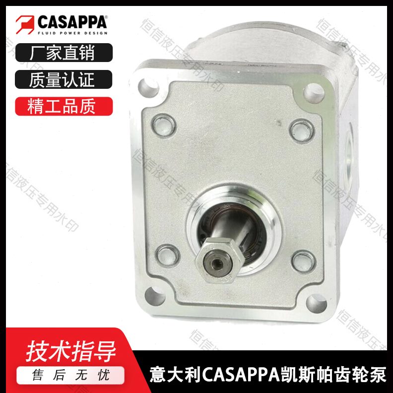 20A43.1620/S5116710LP/./P////../2CA198/液压泵齿轮泵/2.APP149